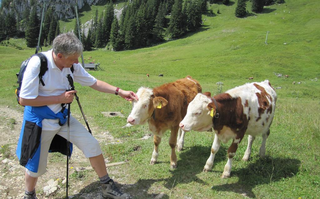 Appartamento Haus Tirol Thiersee Camera foto